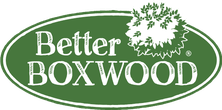 Better Boxwood