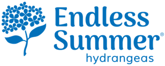 Endless Summer Hydrangeas