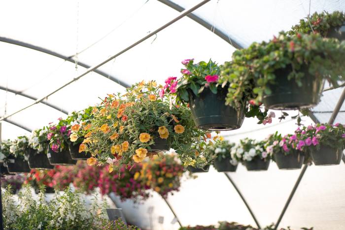Garden Center